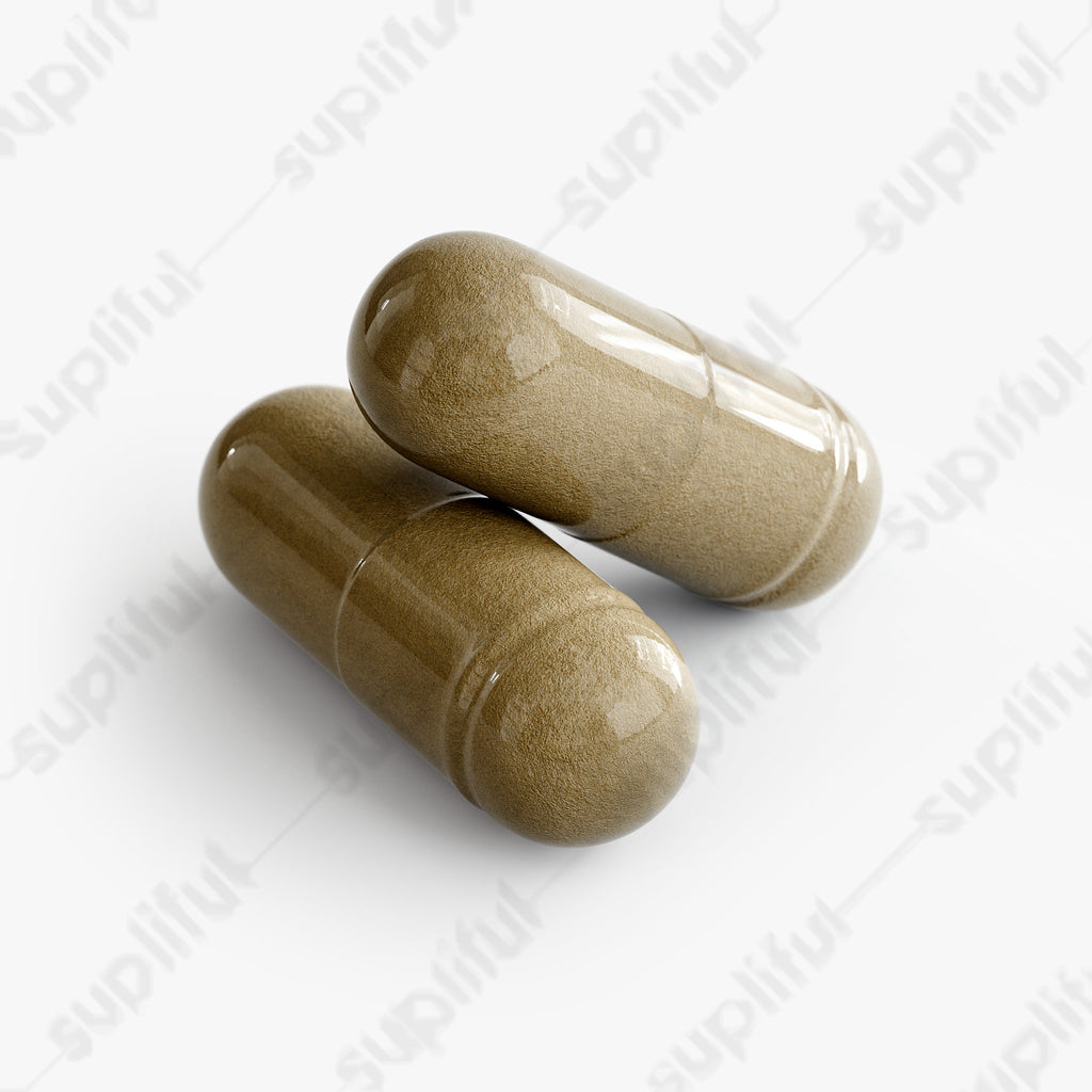 Ginkgo Biloba + Ginseng - The Hipster Exchange General Store and Trading Post