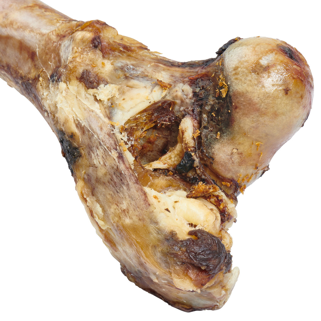 Giant Dog Bone - Grass-Fed Beef Femur Bone for Large Dogs - The Hipster Exchange General Store and Trading Post