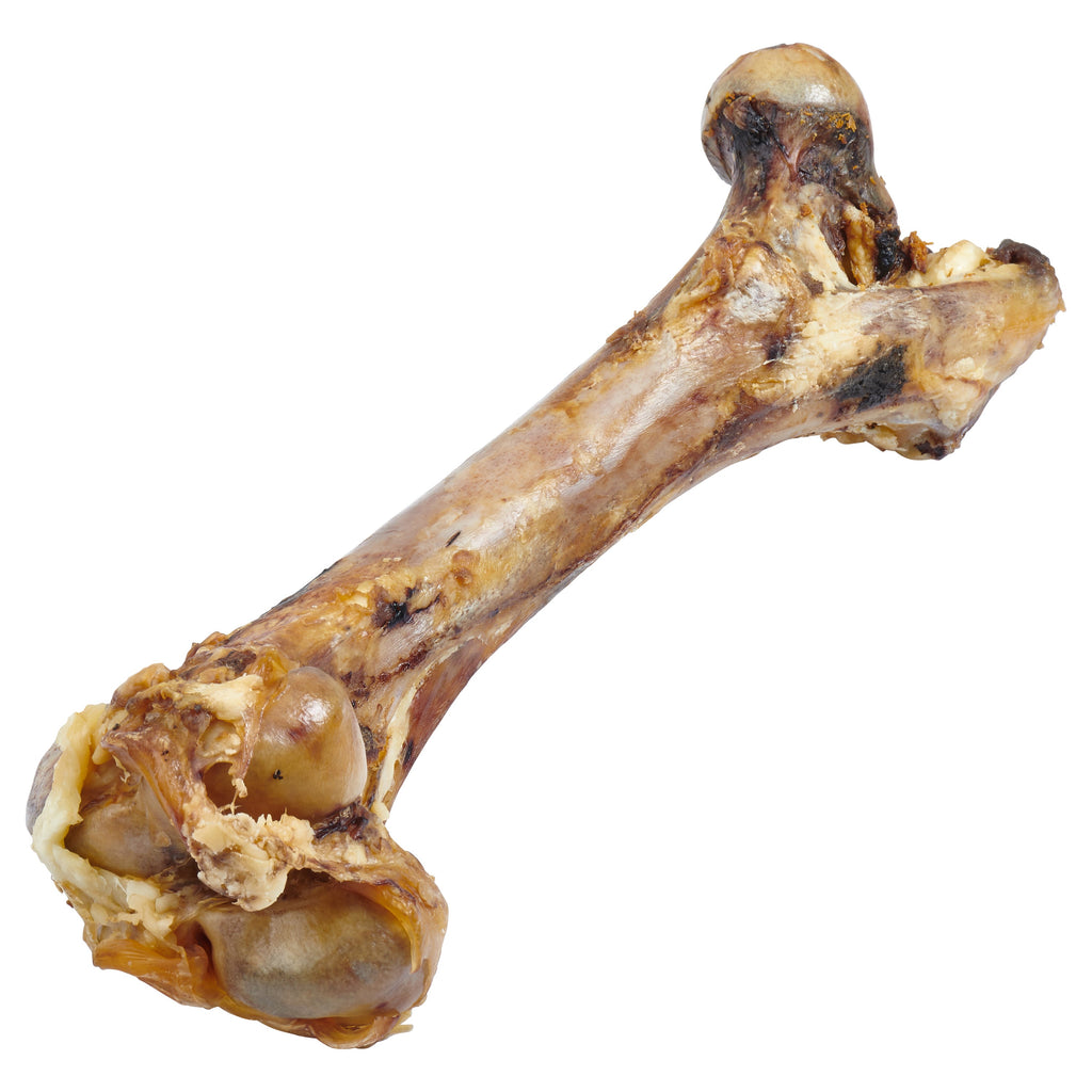 Giant Dog Bone - Grass-Fed Beef Femur Bone for Large Dogs - The Hipster Exchange General Store and Trading Post