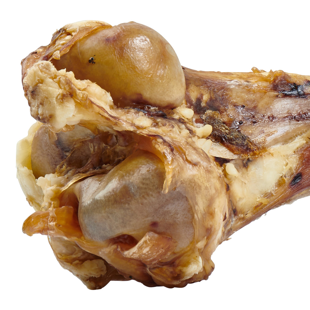Giant Dog Bone - Grass-Fed Beef Femur Bone for Large Dogs - The Hipster Exchange General Store and Trading Post