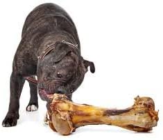Giant Dog Bone - Grass-Fed Beef Femur Bone for Large Dogs - The Hipster Exchange General Store and Trading Post