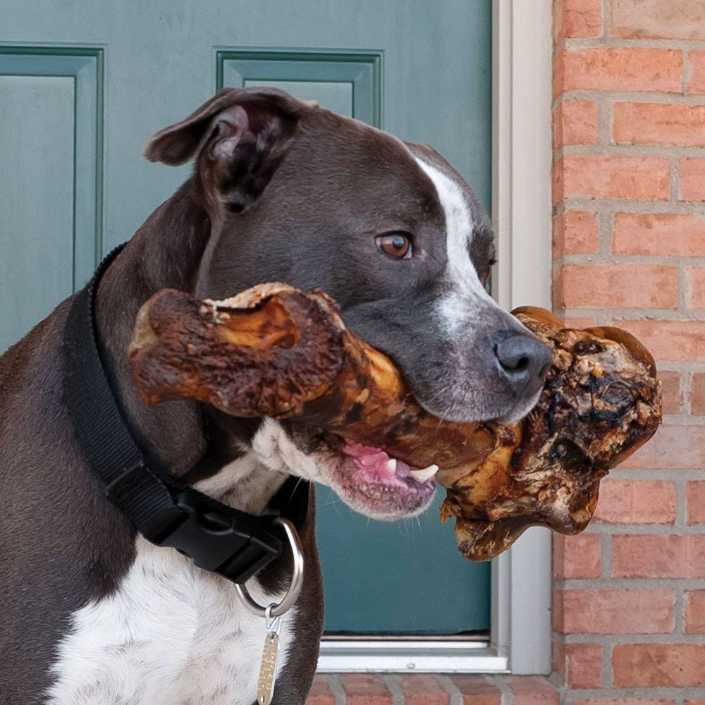Giant Dog Bone - Grass-Fed Beef Femur Bone for Large Dogs - The Hipster Exchange General Store and Trading Post