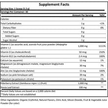 Load image into Gallery viewer, Elderberry Immunity with Zinc and Vitamin C
